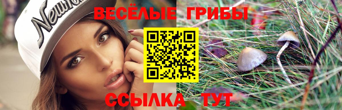 Галлюциногенные грибы ЛСД Фрязино